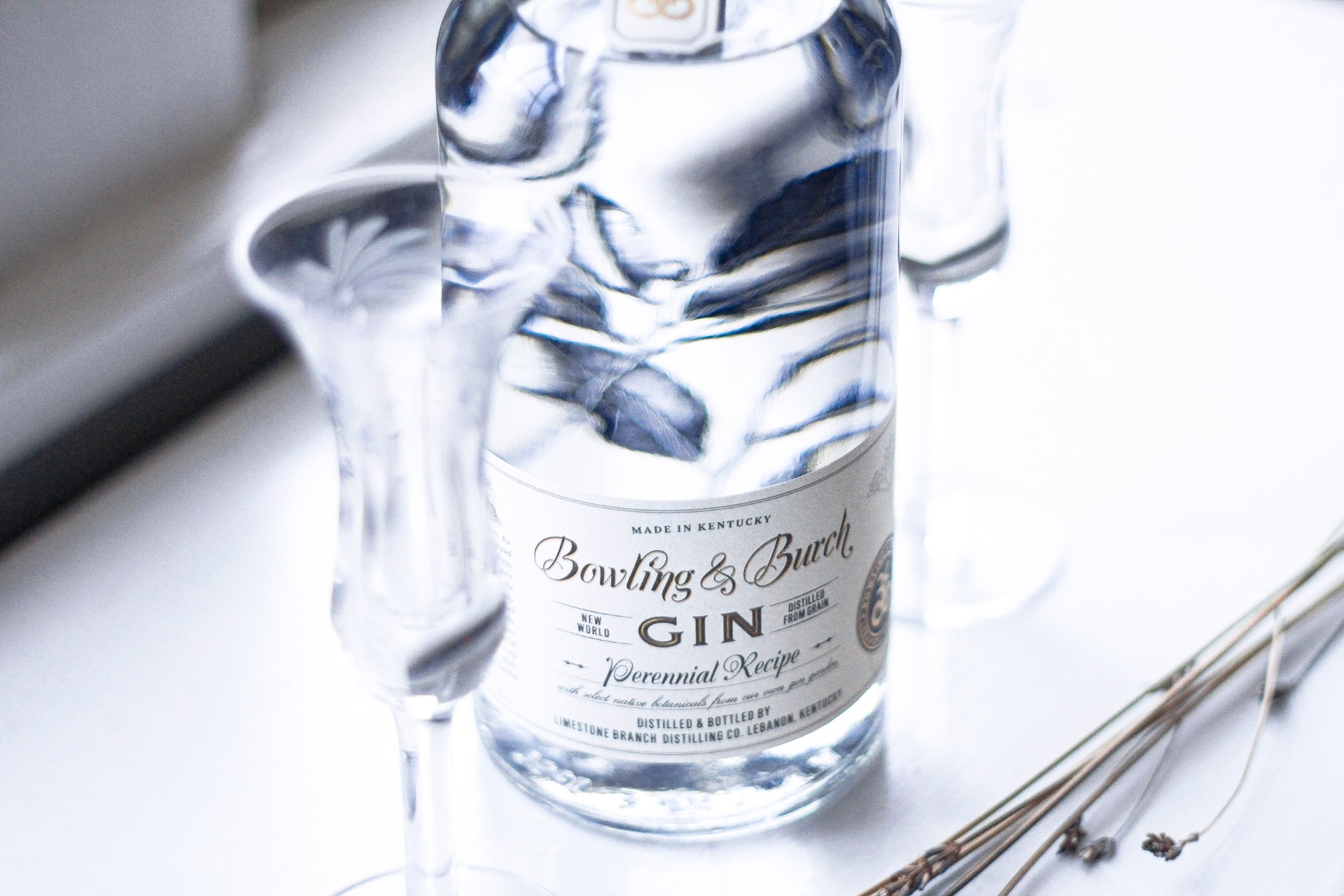 How to Host a Gin Tasting