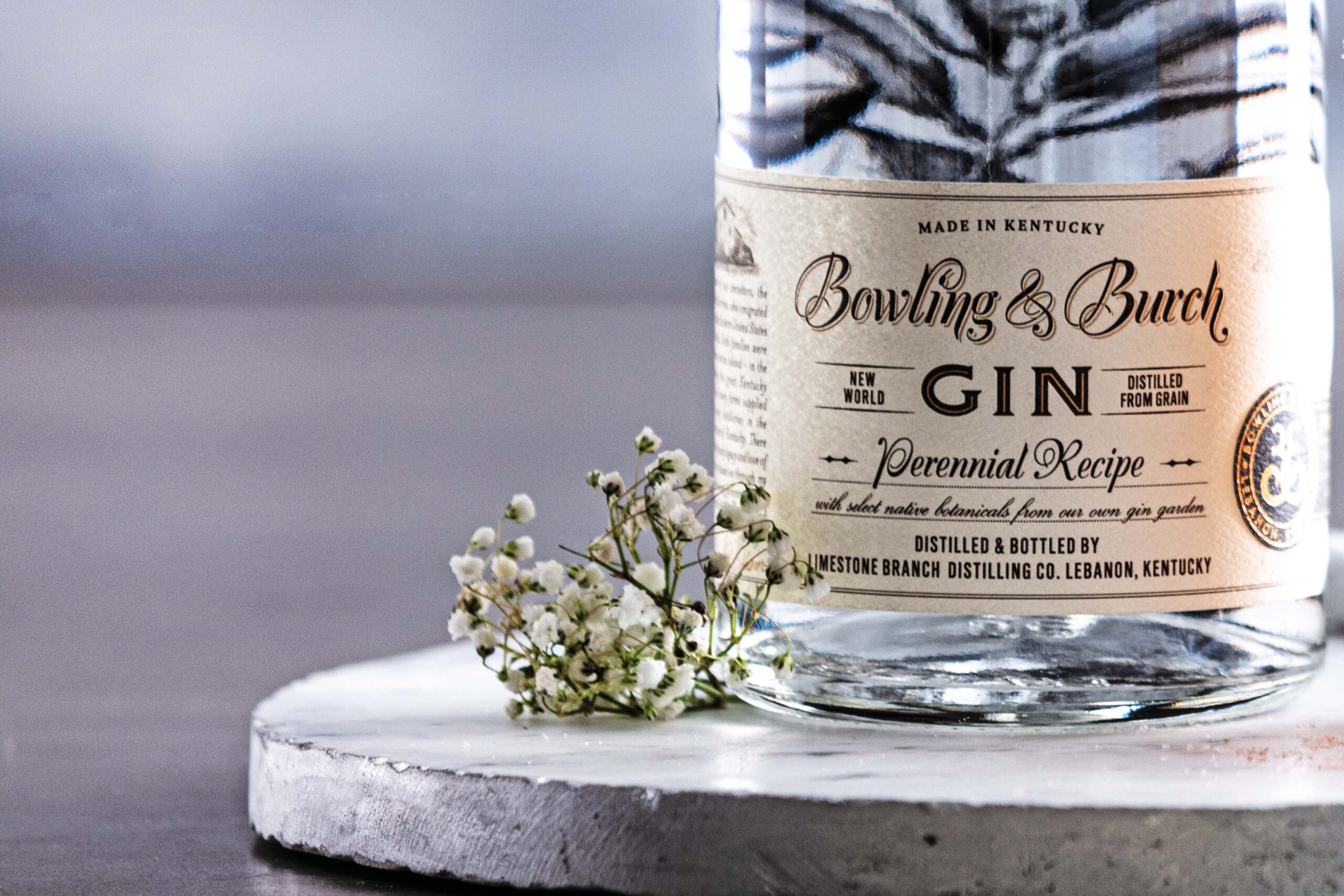 Your Guide to 5 Essential Gin Styles