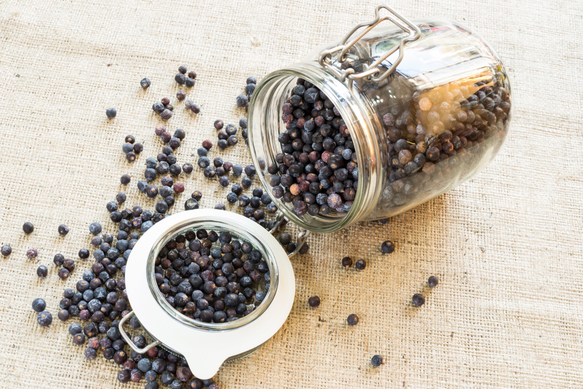 Juniper, Gin’s Most Important Ingredient