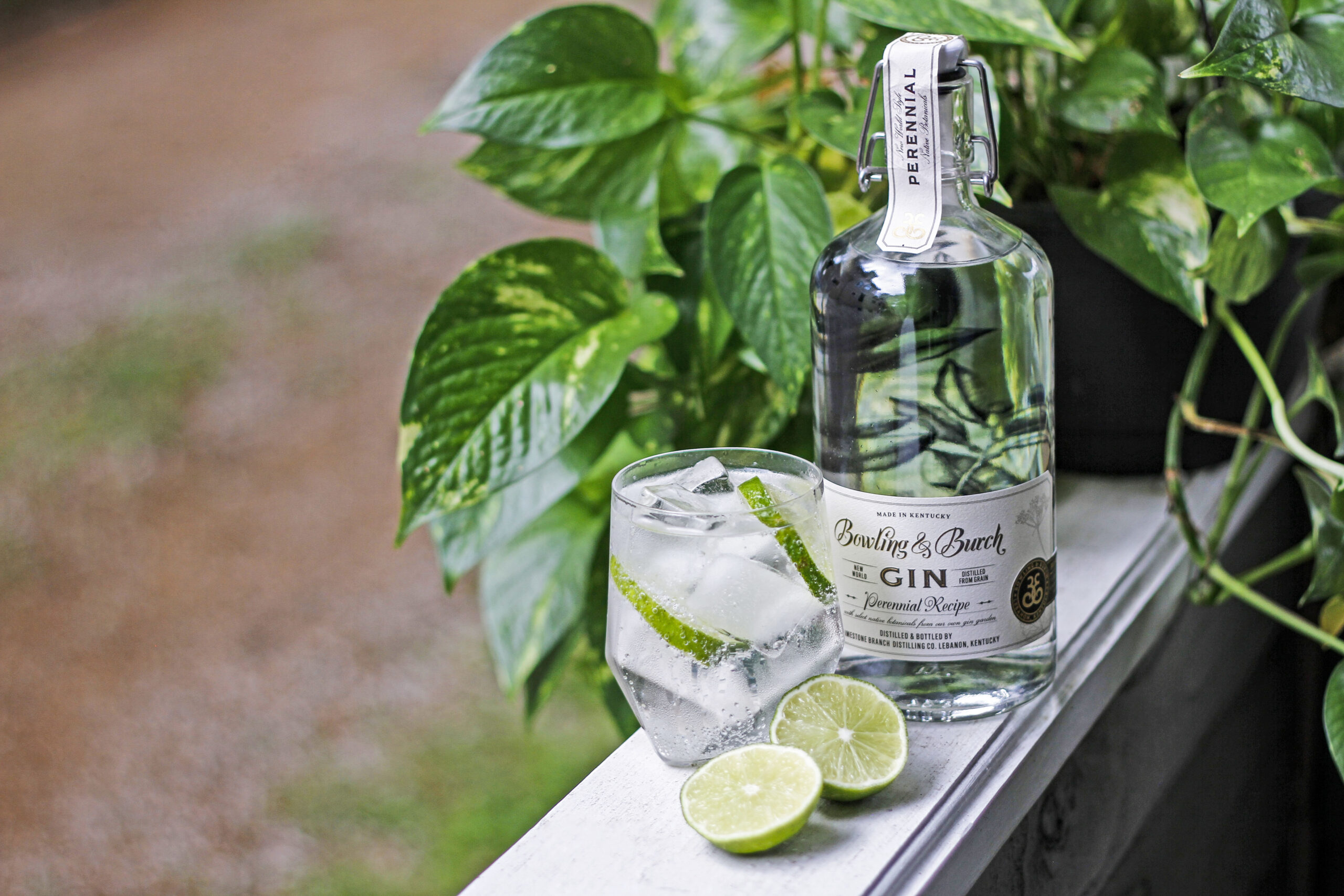 The History of the Gin & Tonic – And How to Make Different