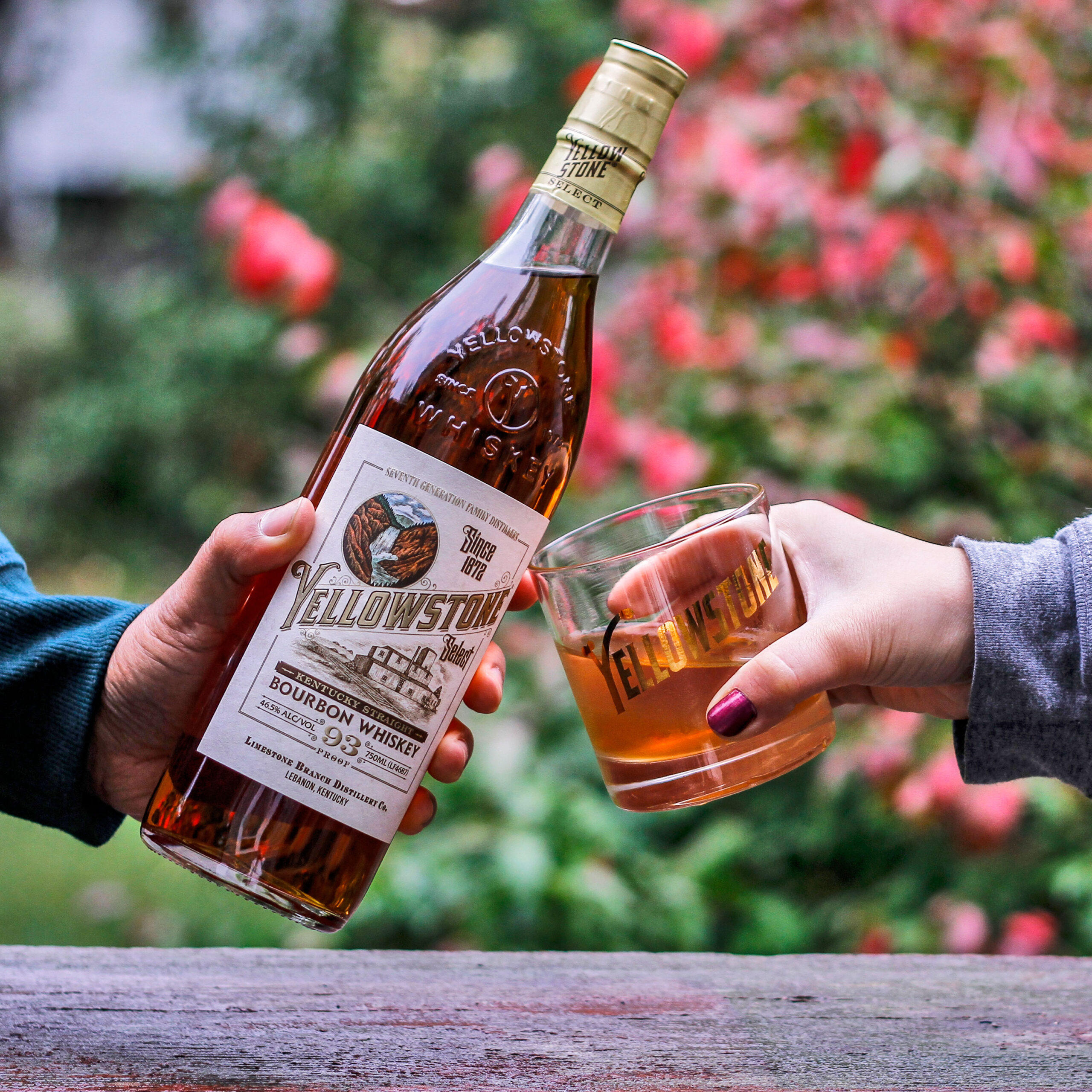 two hands cheersing with a bottle and a glass of Yellowstone bourbon